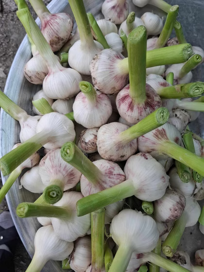 سیر همدان