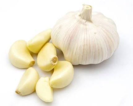 سیر حبه ارگانیک
