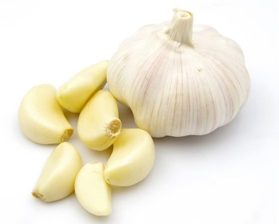 سیر حبه ارگانیک
